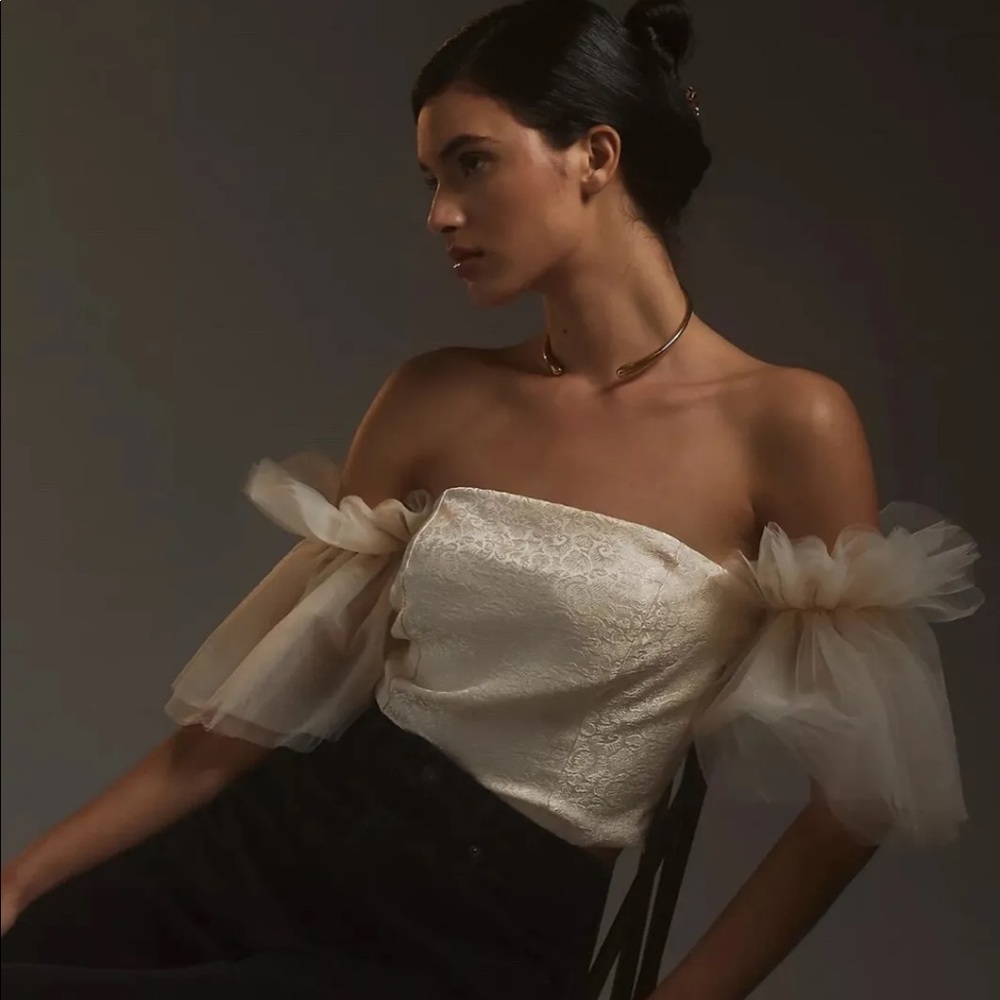 Anthropologie Cream Tulle Crop Blouse